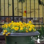 dscf33581
