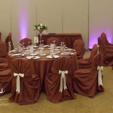 decor-tafta-sala-regina-maria-domeniul-styrbei1