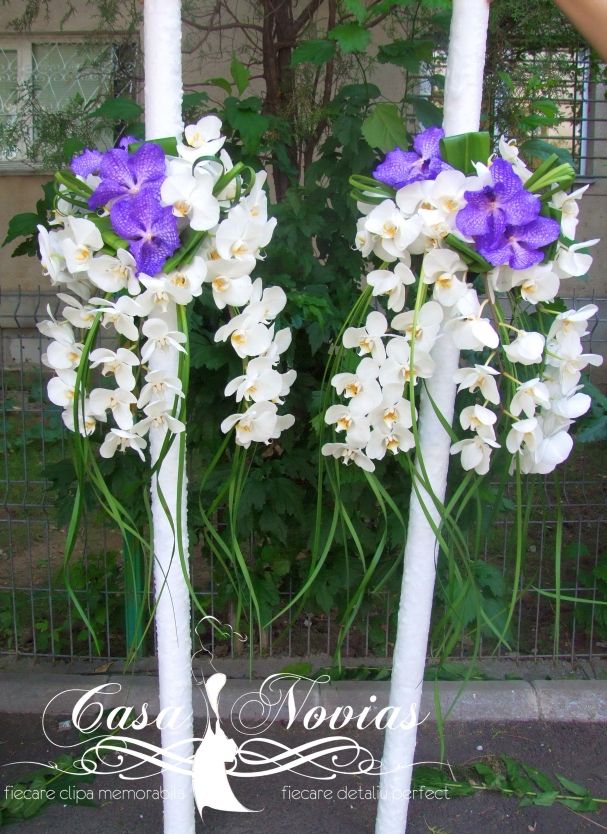 lumanari-di-phalaenopsis-si-vanda-mov