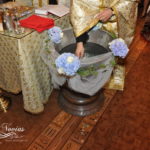 cristelnita-hortensie