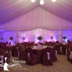decor-nunta-cort-lumini1